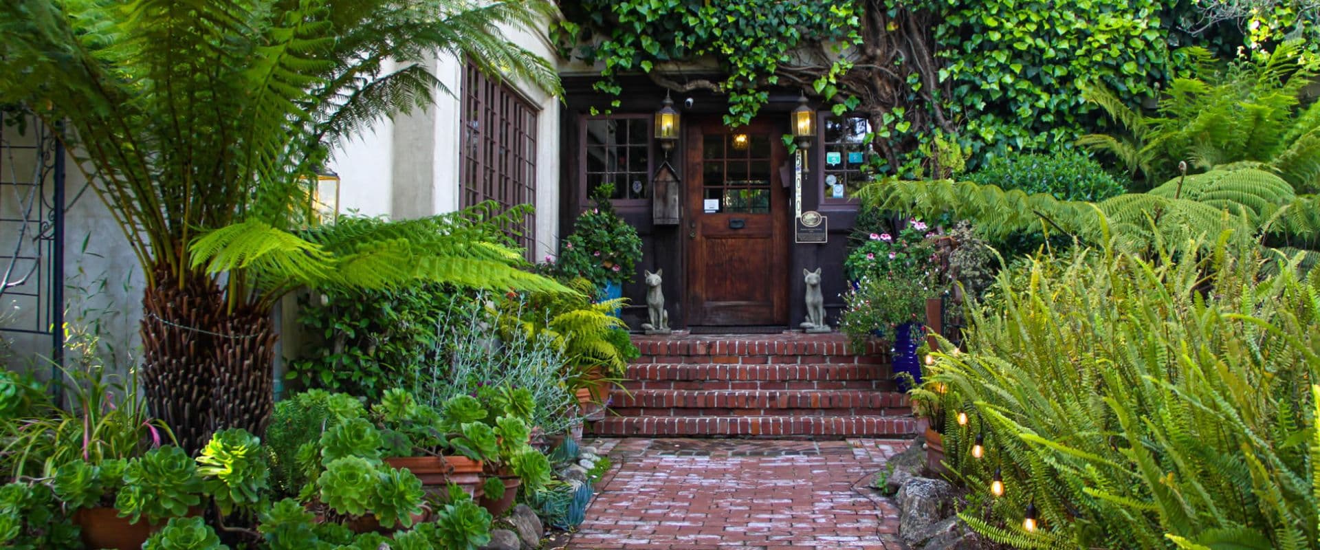 A charming entrance adorned with lush greenery and ferns leads to a wooden door.