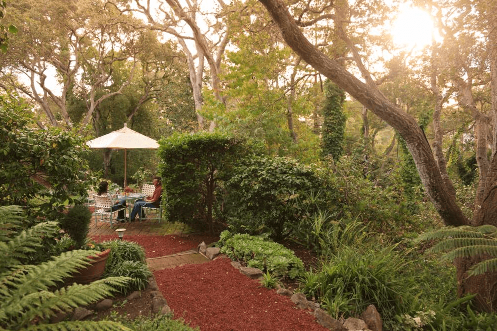 A serene garden path leads to a dining area beneath a white umbrella, surrounded by lush greenery.