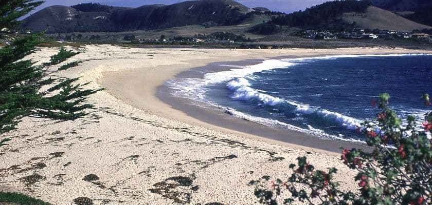A sandy Carmel beach with turquoise waves, rocky shoreline, lush green trees, and golden coastal light.
