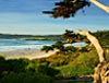 carmel by the sea