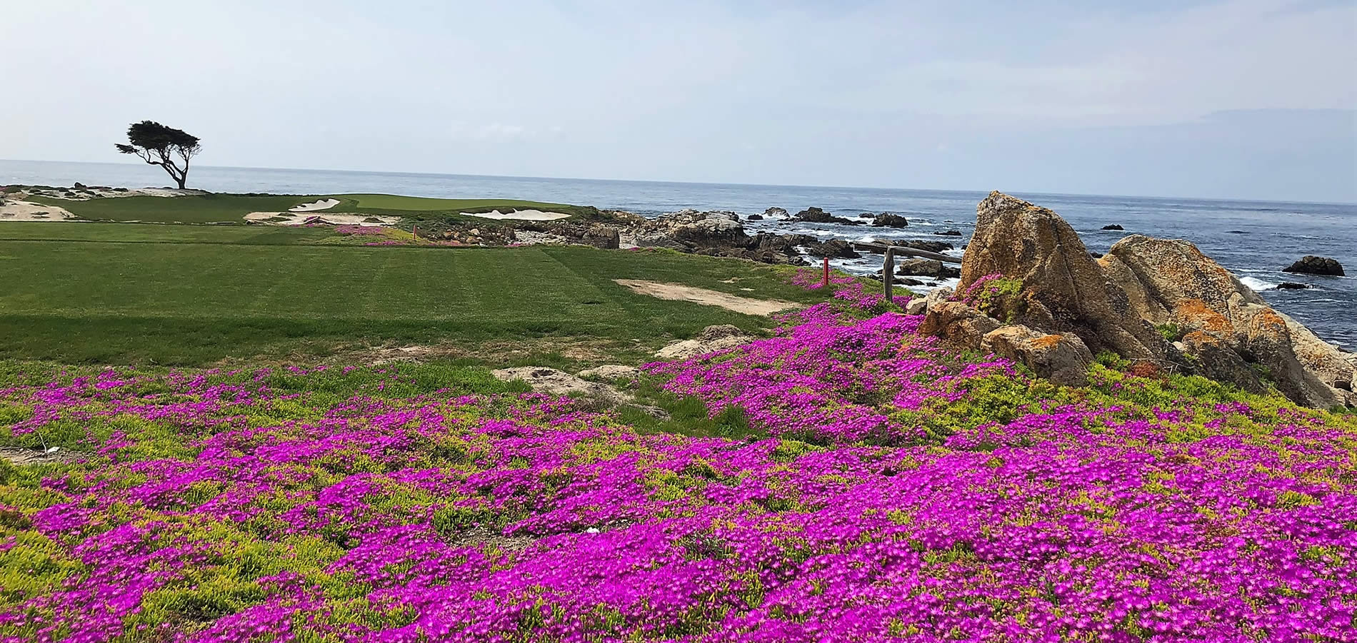 golf course pebble beach