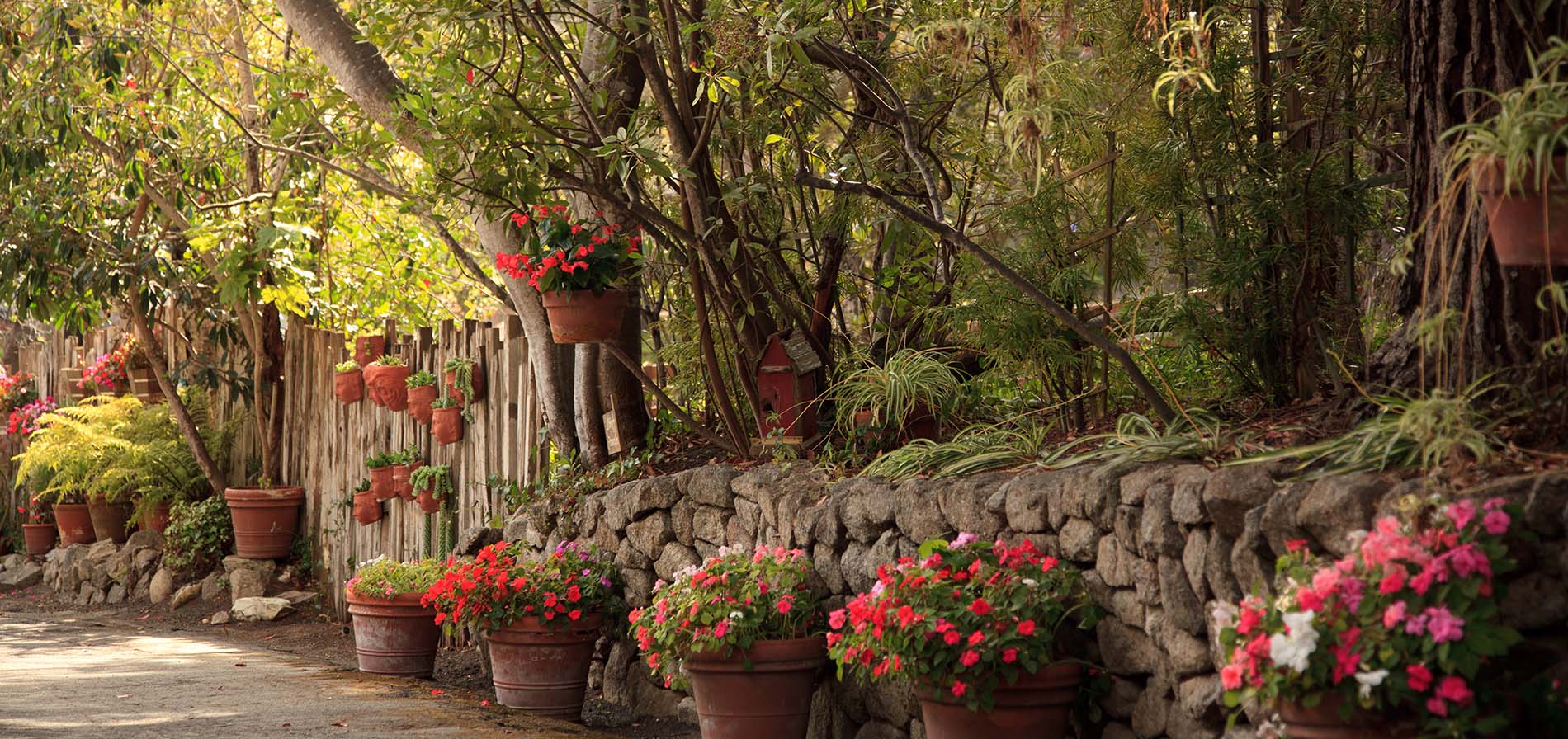 monterey inn gardens with flowers and trees