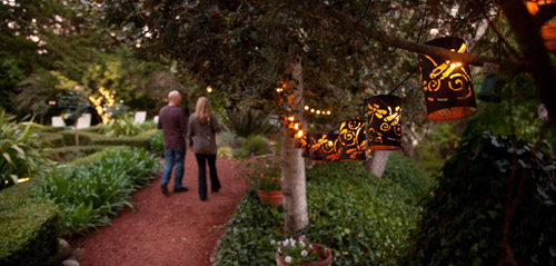 couple walking in garden