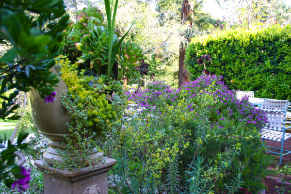 lush gardens at old monterey inn