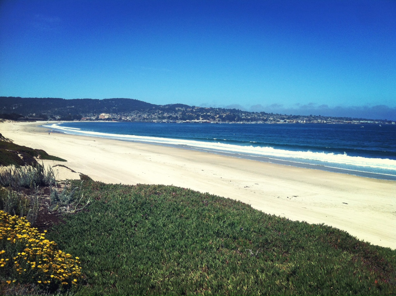 Best Beaches in Monterey Old Monterey Inn